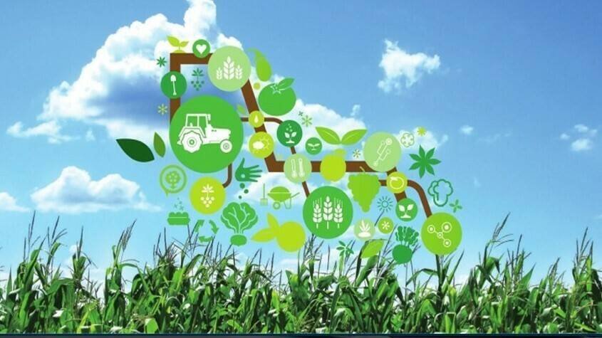 observatorio-smart-agrifood|mesa|Eu Smart Agrifood|Texto-Completo-Poscosecha-200x50